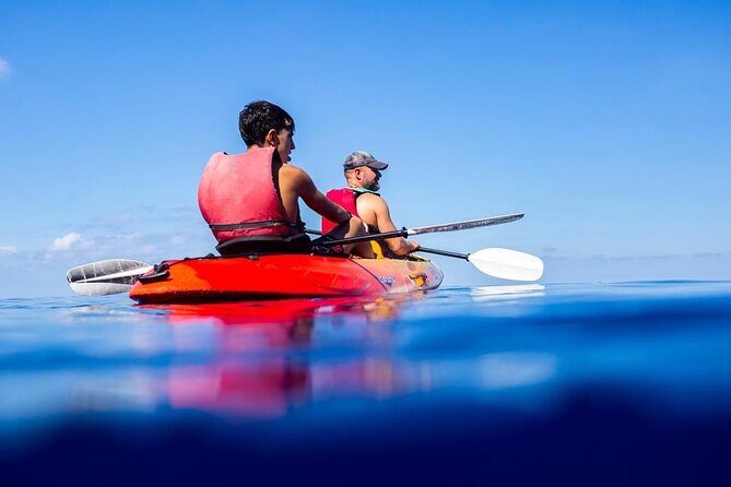 Explore the Island Dragonera by kayak - Final Thoughts