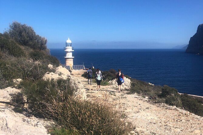 Explore the island of Dragonera by kayak and on foot - The Itinerary: What You’ll Experience