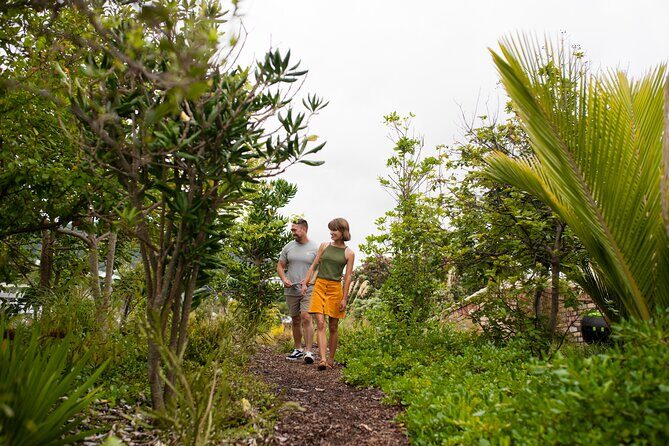Explore the legacy of artist, ecologist, architect, visionary - Who Will Love This Tour?