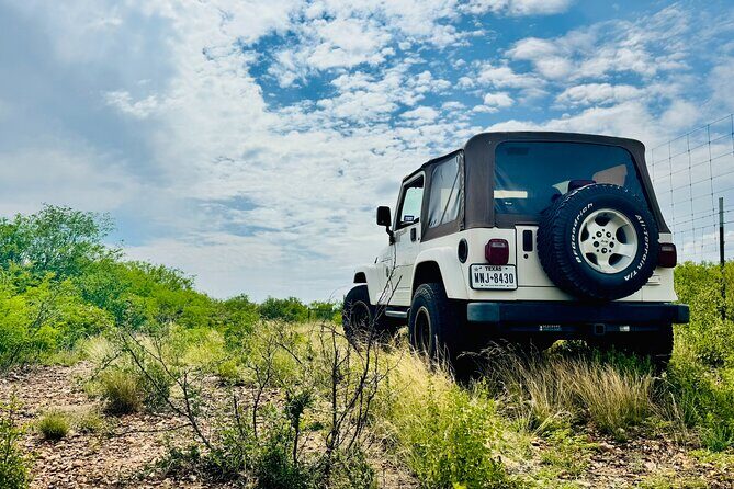 Explore the Medina River Valley on a Rugged Jeep with a Guide - A Close Look at the Medina River Valley Jeep Tour
