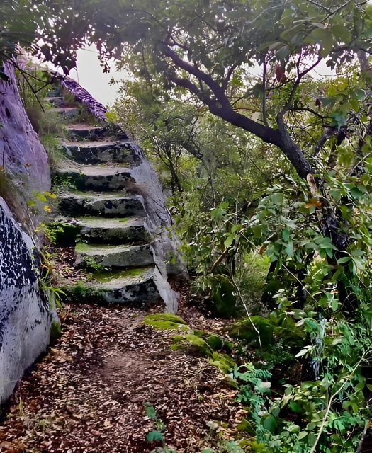 Explore the Murgia Materana UNESCO Park (Italiano & Espanol) - Who Should Consider This Tour?