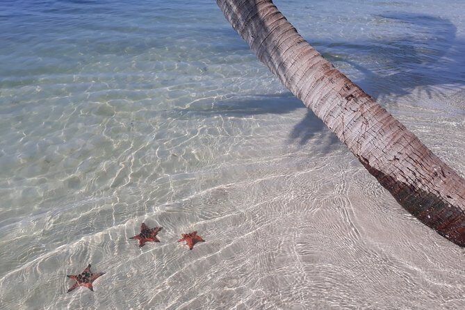 Explore the north of Phu Quoc island by Classical US Army Jeeps - Who Is This Tour Best For?