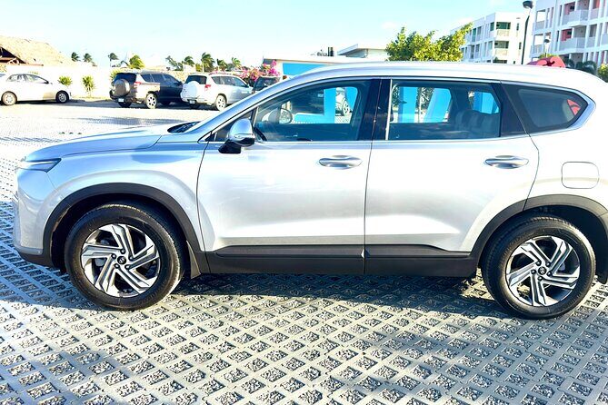 Explore the North & South of Bonaire on your own pase (Private) - Who Will Love This Tour?