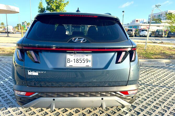 Explore the North & South of Bonaire on your own pase (Private) - Authenticity, Comfort, and Value