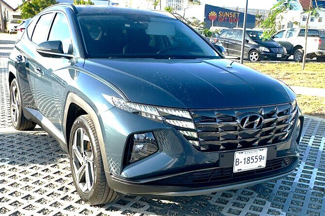 Explore the North & South of Bonaire on your own pase (Private) - The Sum Up