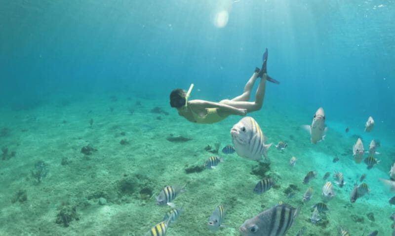 Explore the sea of cozumel in a transprent boat with drinks and snorkel. - Final Thoughts: Is It Worth It?