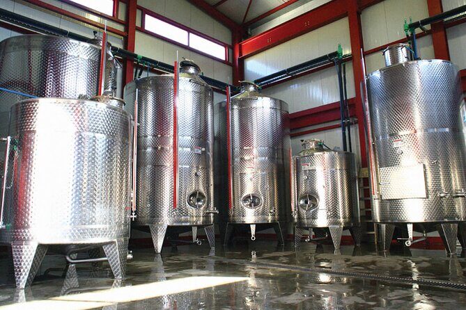 Explore the Secrets of Wine and Olives - Authentic Experiences and Local Insights
