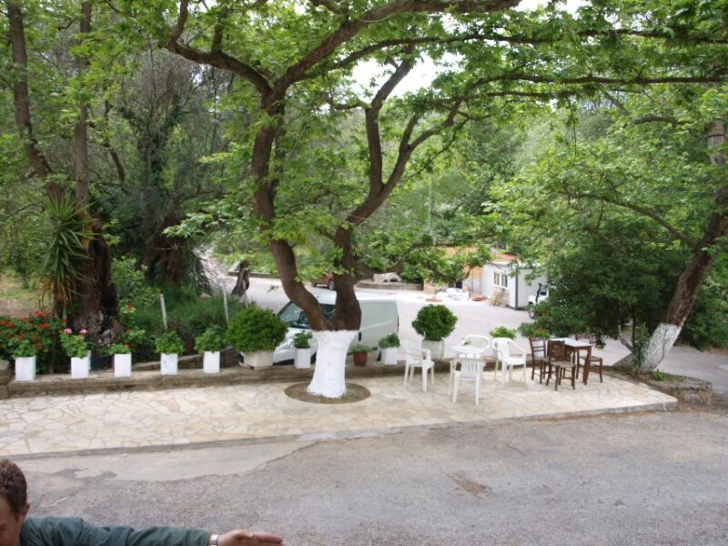 Explore the Secrets of Wine and Olives in Chania - The Sum Up