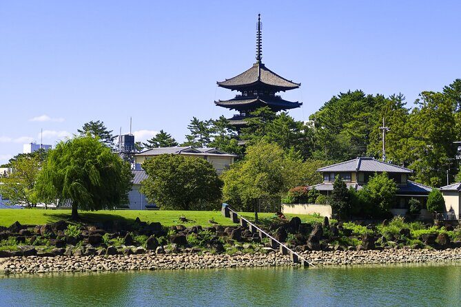 Explore the Timeless Heritage of Nara from Kyoto - Who Will Benefit Most from This Tour?