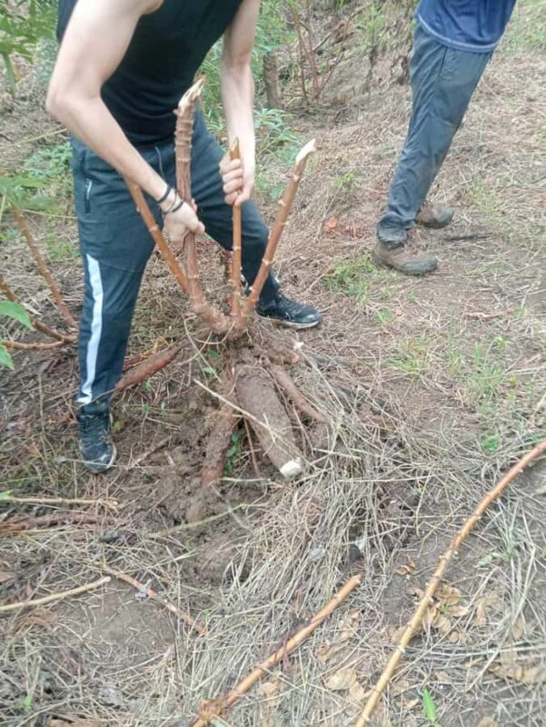 Explore the trails of the sacred ground pools. - Transportation and Group Size