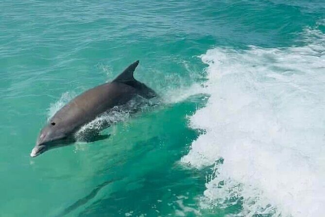 Explore the waters of Anna Maria Island on a private 3hr charter - Itinerary Breakdown