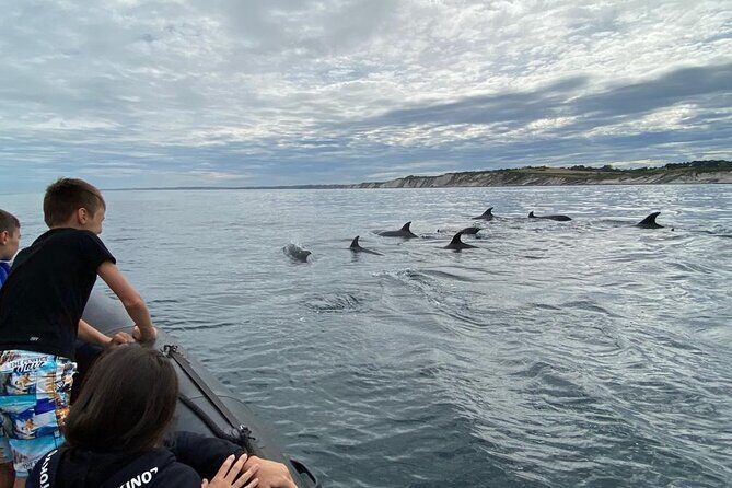 Explore the Wild Beauty of the Basque Coast by Boat - The Sum Up