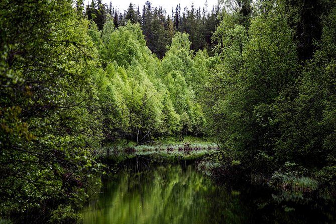 Explore the Wilderness (Summer & Autumn) - Exploring the Wilderness (Summer & Autumn): A Visual Adventure in Rovaniemi