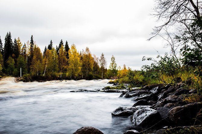 Explore the Wilderness (Summer & Autumn) - Key Points