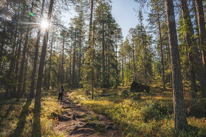 Explore the Wilderness (Summer & Autumn) - Who Will Love This Tour?