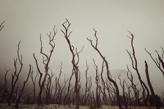 Explore the Wonders of Garut from Bandung - 2D1N - A Well-Balanced Adventure into West Javas Natural and Cultural Gems