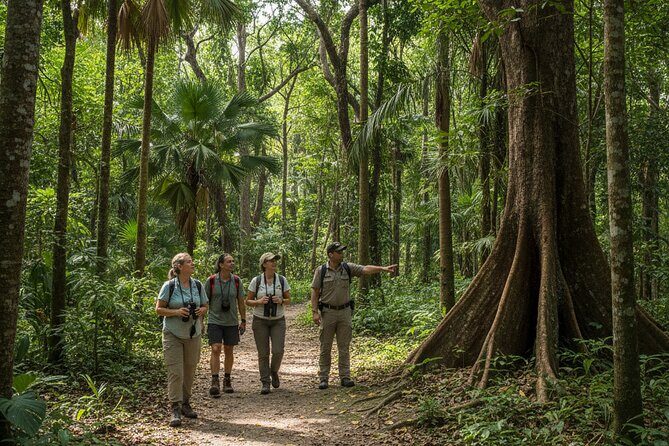 Explore the Wonders of New Caledonia from Noumea Cruise Terminal - Key Points