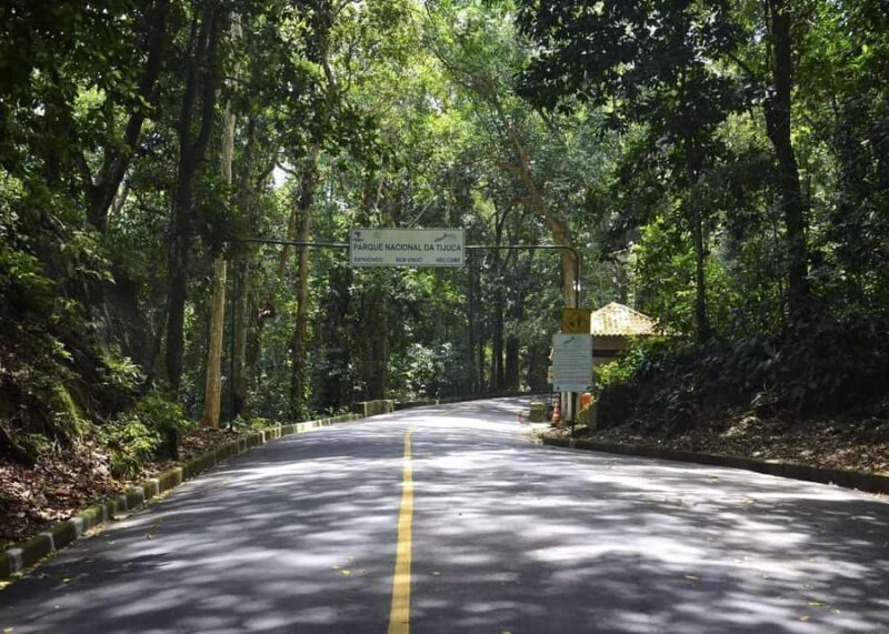 Explore Tijuca Forest: Mayrink Chapel and Taunay Waterfall. - Key Points