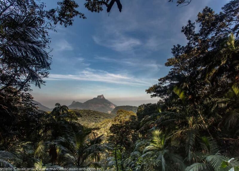 Explore Tijuca Forest: Mayrink Chapel and Taunay Waterfall. - Who Should Consider This Tour?