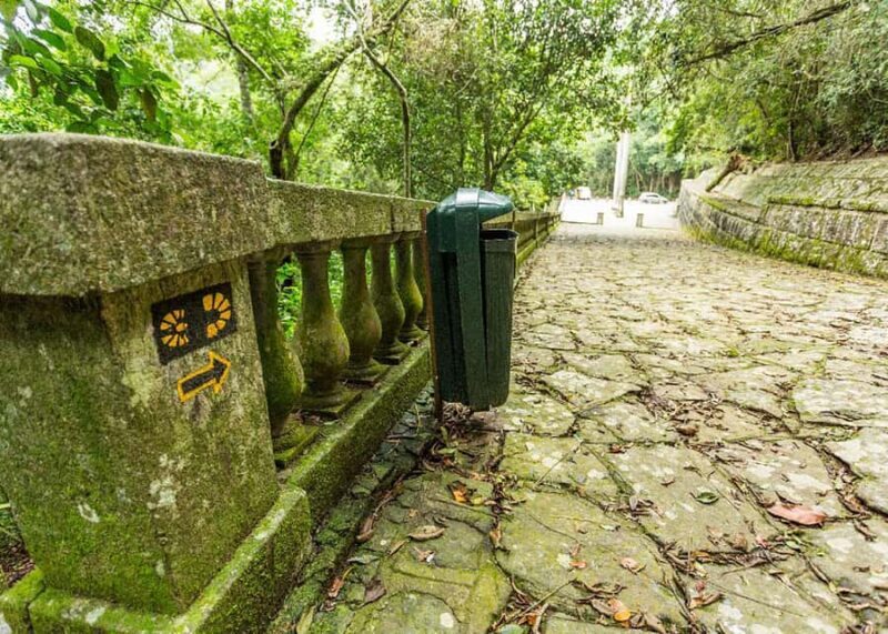 Explore Tijuca Forest: Mayrink Chapel and Taunay Waterfall. - Final Thoughts on the Tijuca Forest Tour