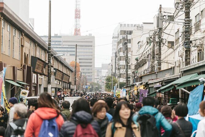 Explore Tokyo Highlights Layover Tour - Who This Tour Is Best For