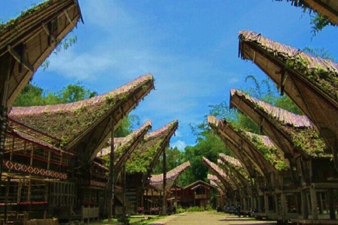 Explore Toraja Culture Heritage in 3 Days from Makassar - Who Will Love This Tour?