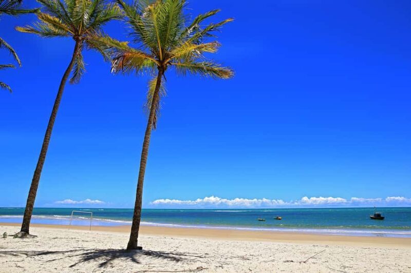 Explore Trancoso: Guided Tour of Local Wonders! - Full Review of the Trancoso Guided Tour