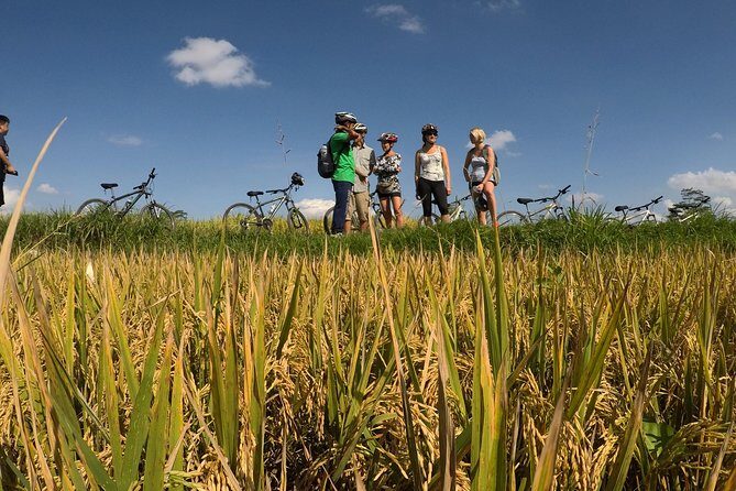 Explore Ubud with Electric Bike - Who Is This Tour Best For?