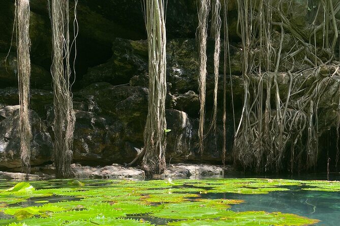 Explore Uxmal, 2 Magic Cenotes and Mayan Gastronomy - Analyzing the Value