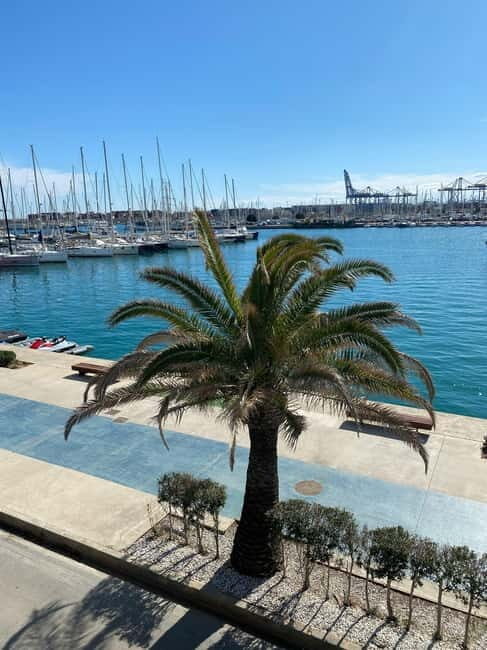 Explore Valencias Coast: Boat trip to Valencian Venice - Final Thoughts: Is It Worth It?