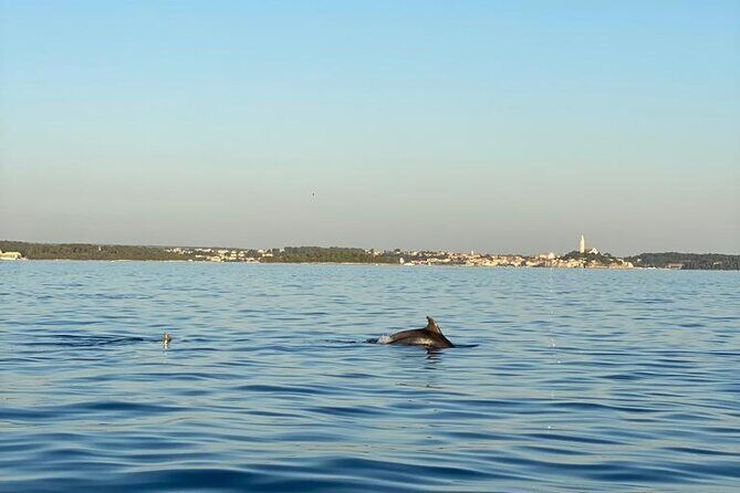 Explore Vrsar with Private Boat Cruise - An In-Depth Look at the Vrsar Private Boat Cruise