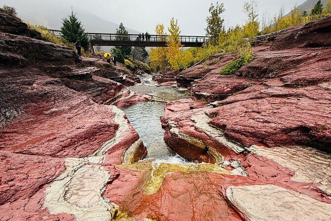 Explore Waterton National Park from Calgary Day Guided Tour - The Sum Up