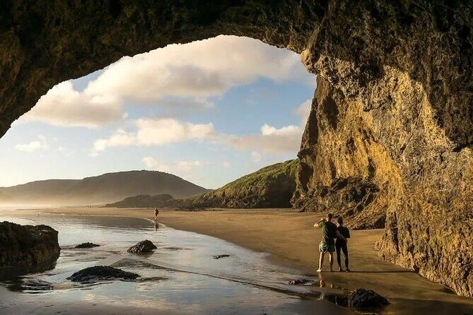 Explore West Auckland with Winery - Key Points