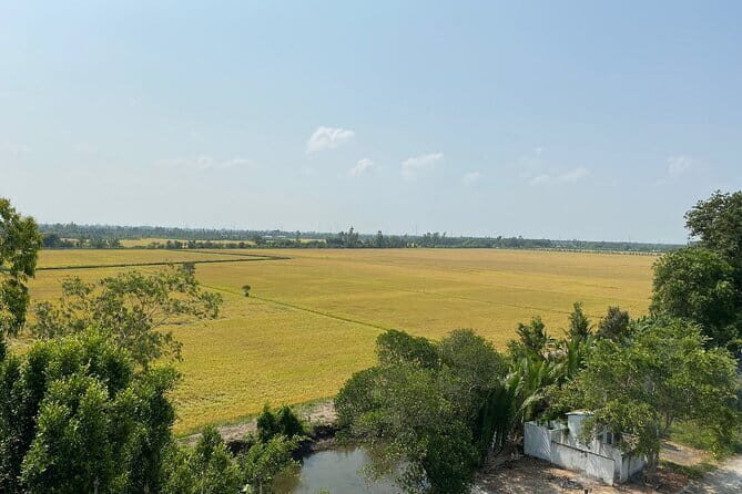 Explore Wetlands and Nature Reserve from Can Tho - A Deep Dive into the Wetlands Experience