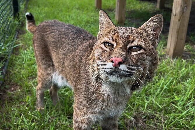 Explore Wildlife Sanctuaries on the WILD Palm Beaches Tour - Who Will Love This Tour?