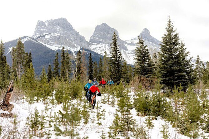Explore Winter Wildlife Tracks Nature Walk in Canmore - Who Will Benefit Most?