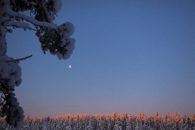 Explore Winter Woods: Snowshoe walk with local Biologist - In-Depth Review of the Tour Experience