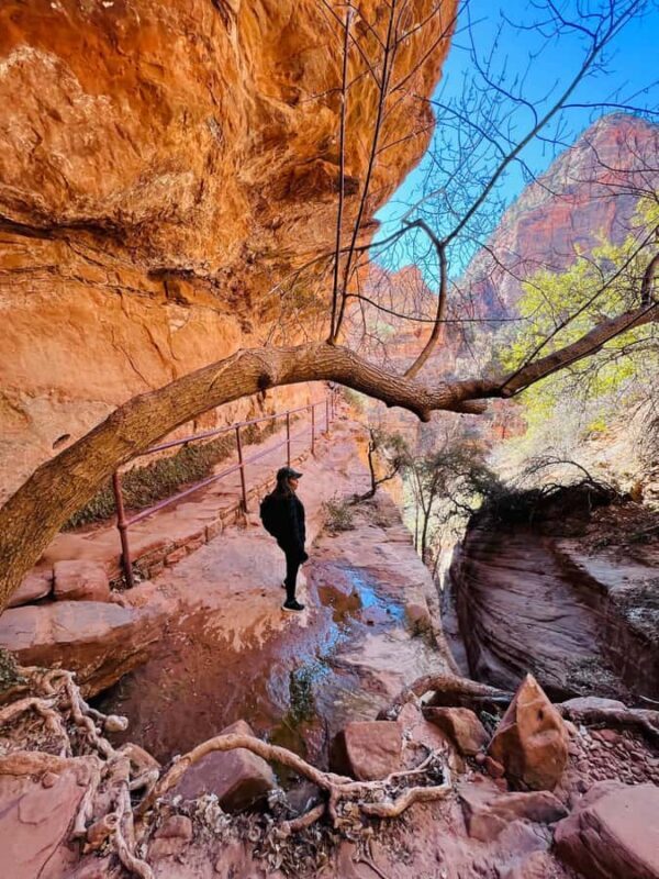 Explore Zion: Private Hiking Photography Tour from Las Vegas - Who Is This Tour Best For?