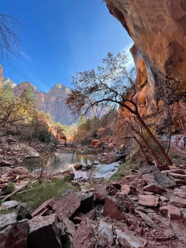Explore Zion: Private Hiking Photography Tour from Las Vegas - Final Word