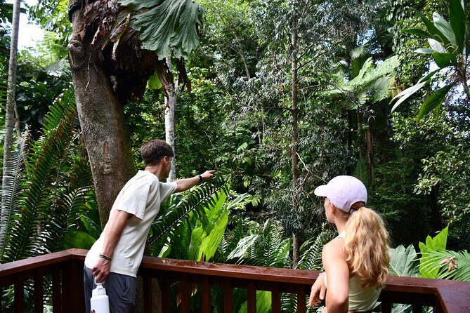 Explorer Tour by Cairns Waterfalls - The Sum Up