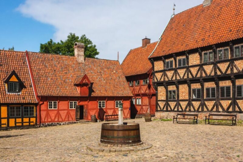 Exploring Aarhus: Culture and Heritage Walking Tour - Exploring Aarhus: Culture and Heritage Walking Tour