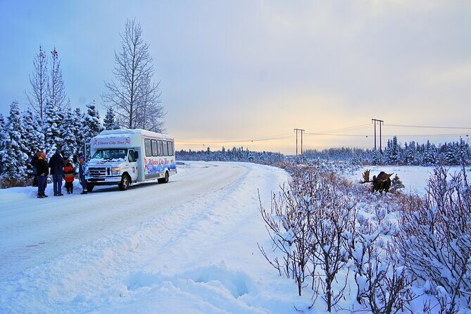 Exploring Anchorage on Winter Sundays - Key Points