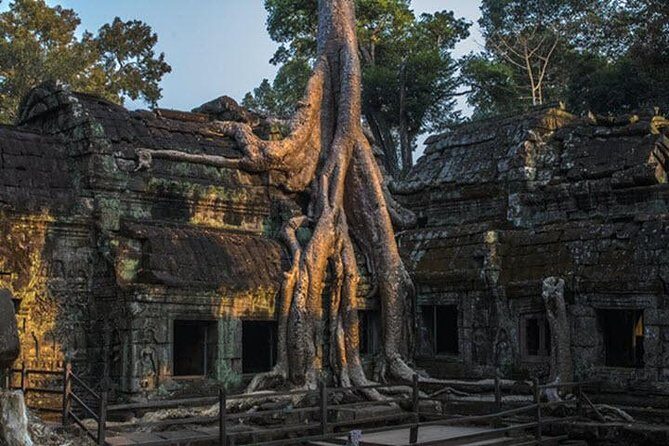 Exploring Angkor Wat highlight with Sunrise Tour-Small Group - Who Is This Tour Best For?