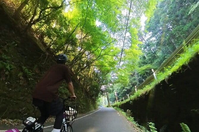 Exploring Arashiyama in a small group? E-bike tour is perfect! - Who Should Consider This Tour?
