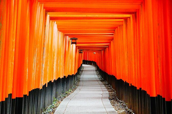 Exploring Autumn Foliage: Tofukuji, Fushimi Inari, and Uji Tour - Practicalities and Value
