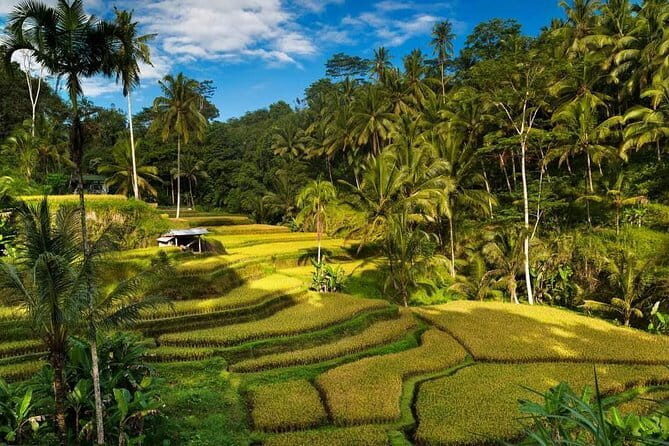 Exploring Bali in 3 Days: Discover Top Places in Bali - Key Points