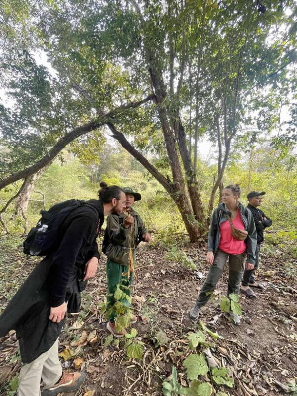 Exploring Don Village & Yok Don National Park - What to Expect on the Tour