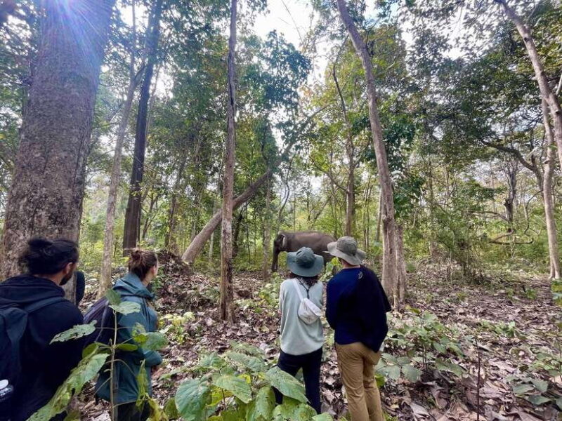 Exploring Don Village & Yok Don National Park - Analyzing the Value