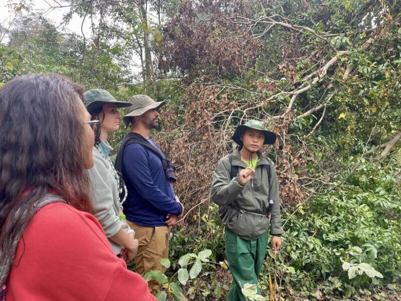 Exploring Don Village & Yok Don National Park - FAQ