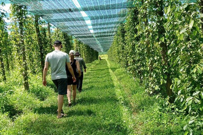 Exploring Kampot: A Memorable Tour from Sihanoukville - Exploring Kampot: A Memorable Tour from Sihanoukville